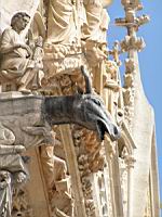 Reims - Cathedrale - Gargouille (belier)
